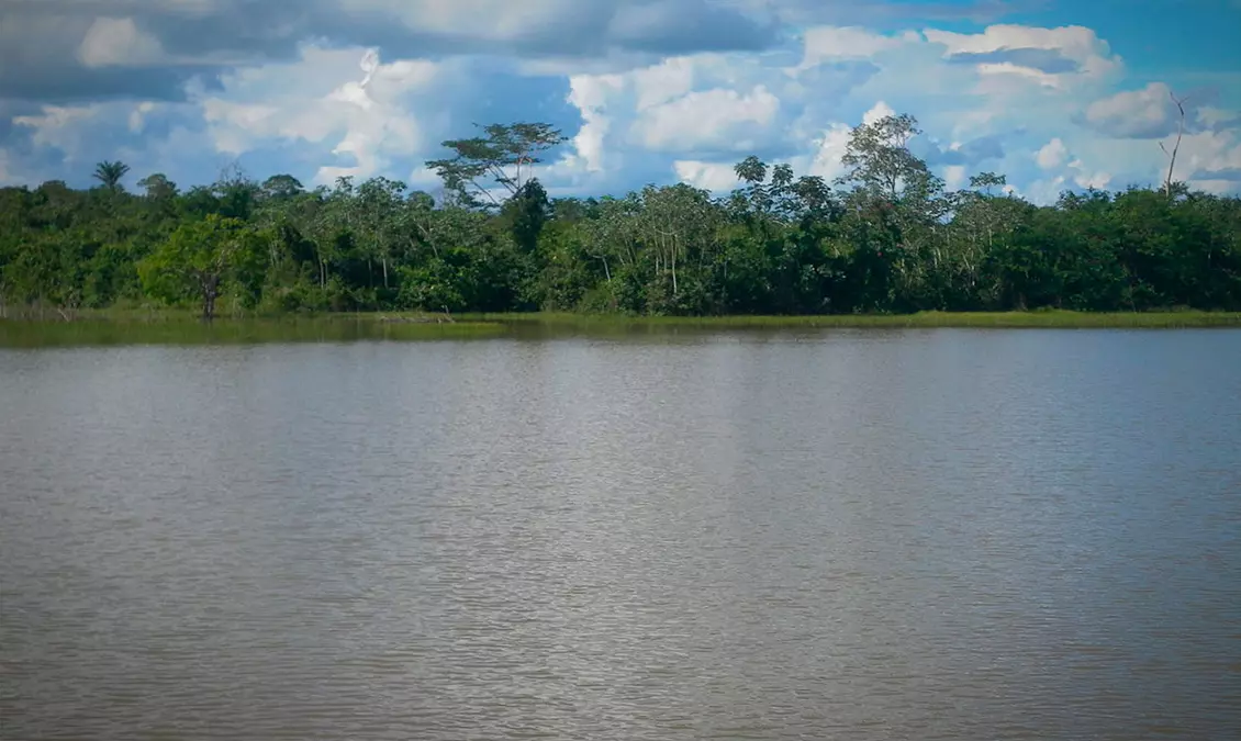 IMG de Amazônia