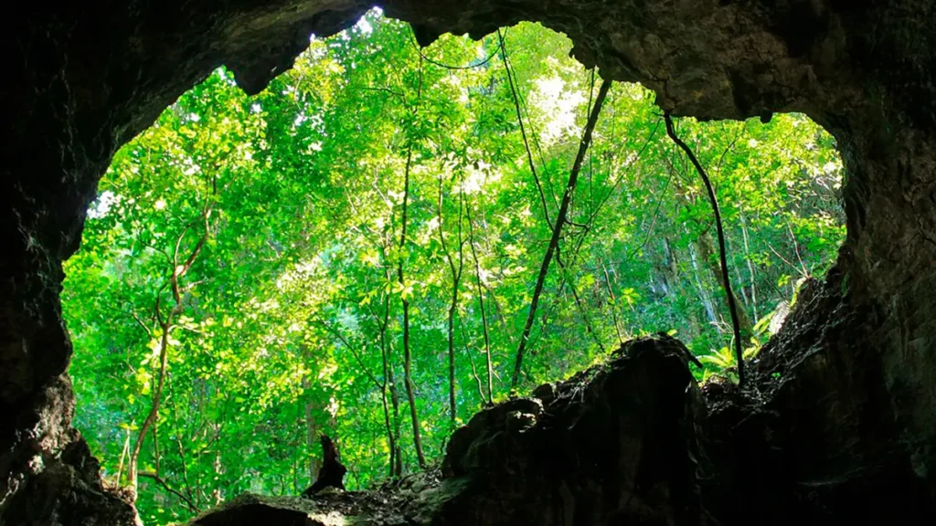 Parque Nacional Los Haitises