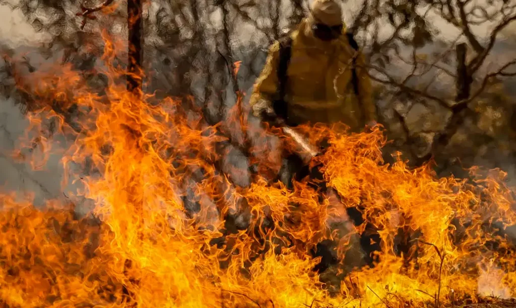 Emergência Climática