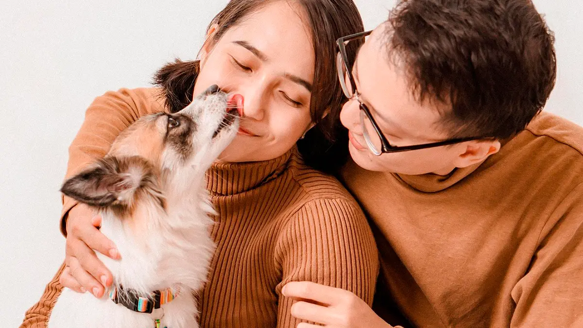 Campanha Incentiva Adoção de Animais Resgatados em Manaus