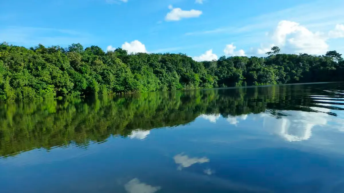 Passeio de 2 Dias na Floresta Amazônica com Pernoite